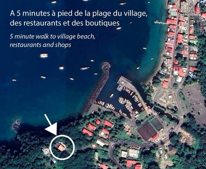 Villa "The Pretty Mermaid", Pool And Stunning Views 5 Min From Beach Deshaies Extérieur photo