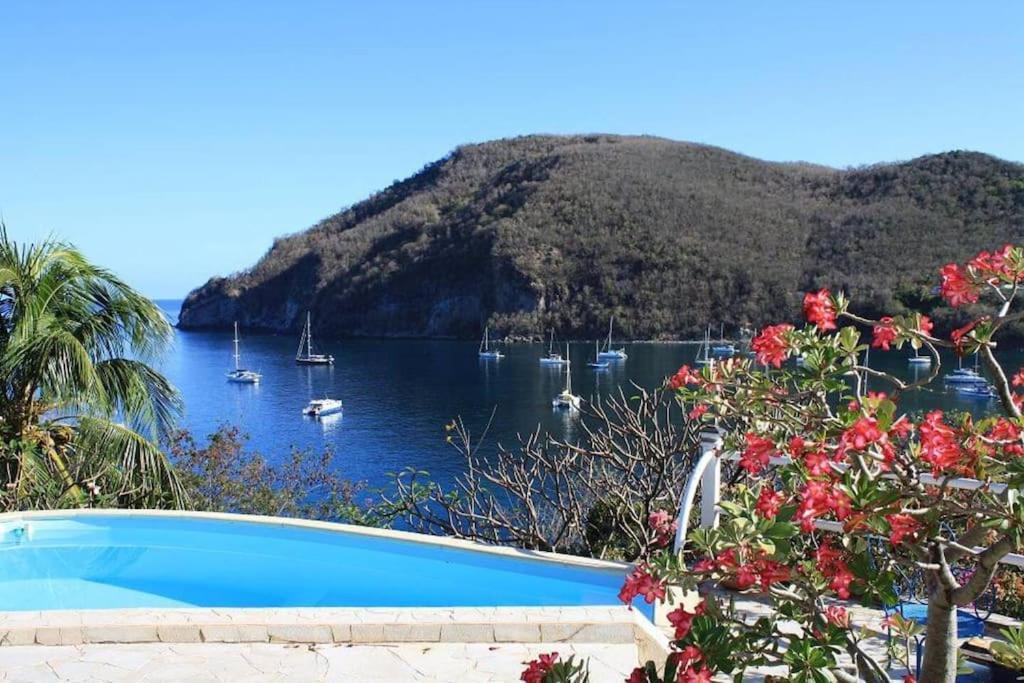 Villa "The Pretty Mermaid", Pool And Stunning Views 5 Min From Beach Deshaies Extérieur photo